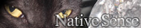 ns_ban.jpg